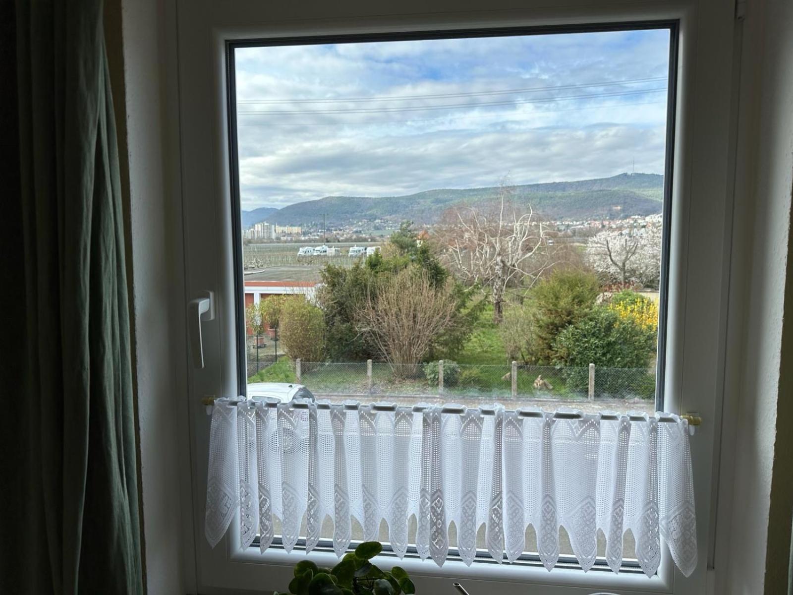 Terrassenwohnung Neustadt an der Weinstraße المظهر الخارجي الصورة